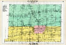 Gaines, Albion